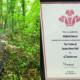 Woodland Walk and PT